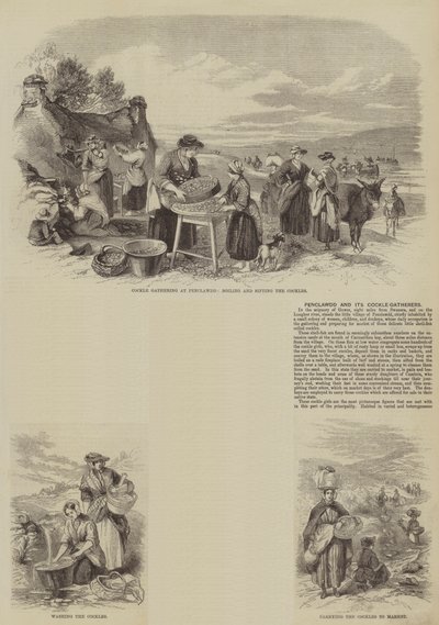 Penclawdd e seus Cockle-Gatherers (gravura) de English School