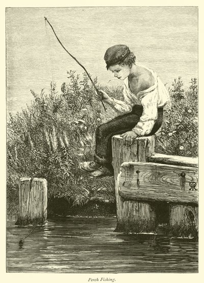 Pesca de Percas de English School