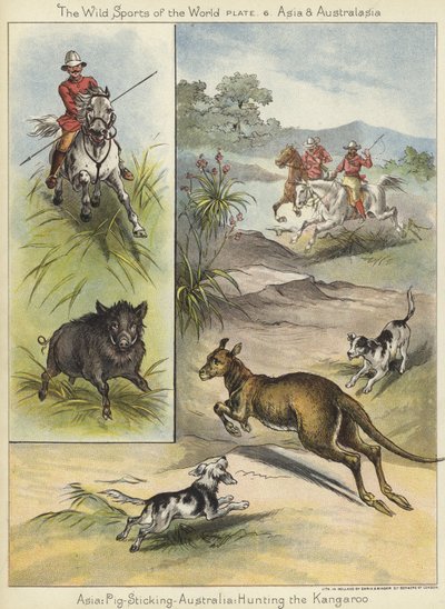 Porco Colante e Caça ao Canguru de English School