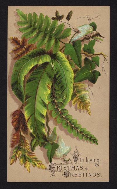 Folhas de plantas, cartão de felicitações de Natal, final do século XIX ou início do século XX (cromolitho) de English School