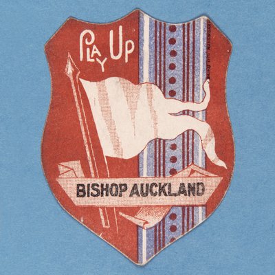 Jogue para cima Bispo Auckland de English School