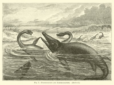 Plesiosaurus e Ichthyosaurus de English School