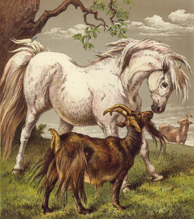 Pónei e cabras (cor litho) de English School