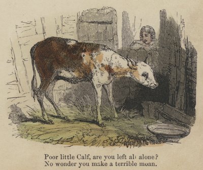 Pobrezinho Calf, ficaste sozinho? Não admira que você faça um gemido terrível (gravura colorida) de English School