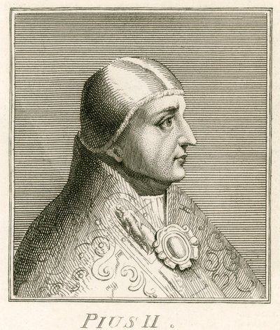 Papa Pio II de English School