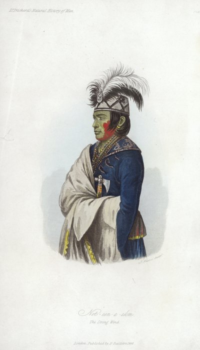 Retrato de Not-A-A-Akom de English School