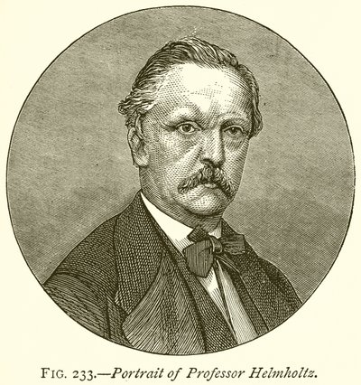 Retrato do Professor Helmholtz de English School