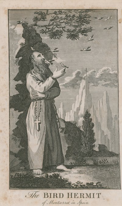 Retrato, de, a, pássaro, eremita, de, montserrat de English School