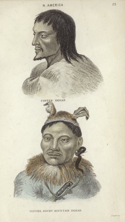 Retratos de um índio de cobre e um índio das Montanhas Rochosas (gravura a cores) de English School