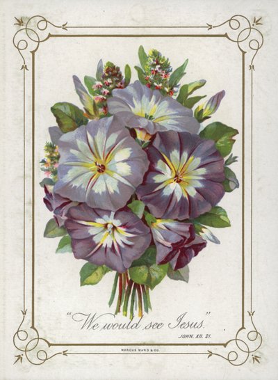 Posy de flores de English School