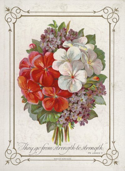 Posy de flores de English School