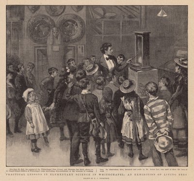 Lições práticas em ciência elementar em Whitechapel; Uma exposição de abelhas vivas de English School