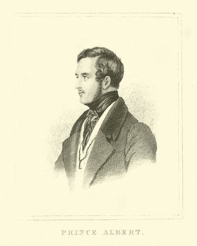 Prince Albert de English School
