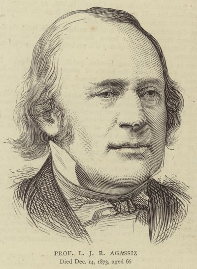 Professor L J R Agassiz (gravura) de English School