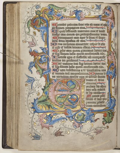 Psalter com calendário de uso Sarum, c.1425-75 (tinta, tinta e ouro sobre velino) de English School