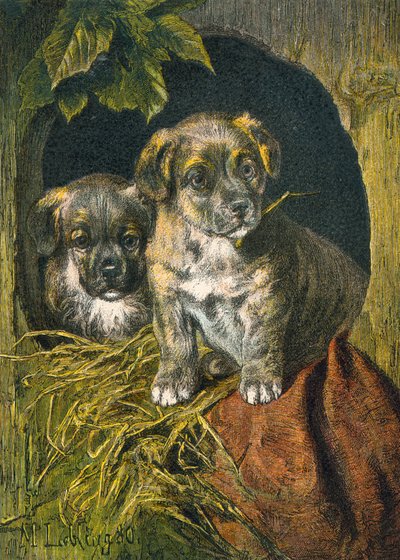 Filhotes de cachorro, primeira aparição de English School