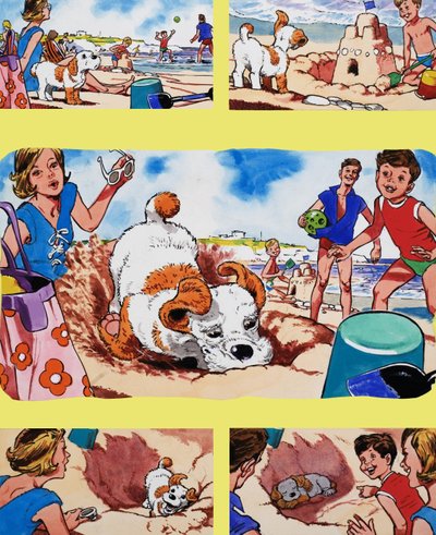 Filhote de cachorro na praia de English School
