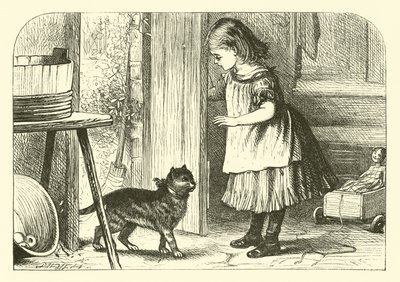 Gato De Buceta, Gato De Buceta de English School