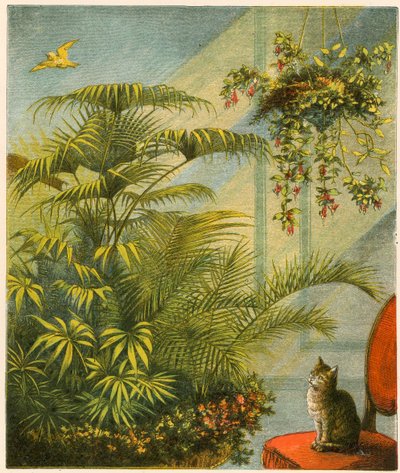 Pussy and Dicky, gato e canário de English School