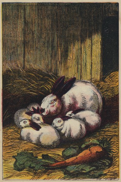 Coelhos (litografia a cores) de English School