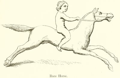 Cavalo de corrida de English School