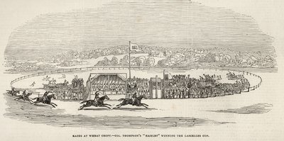 Corridas na Wheat Croft: "Hamlet", do Coronel Thompson, vencedor da Taça Lascelles, de "The Illustrated London News", 15 de novembro de 1845 de English School