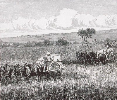 Reaping, Adelaide Sul, Austrália de English School