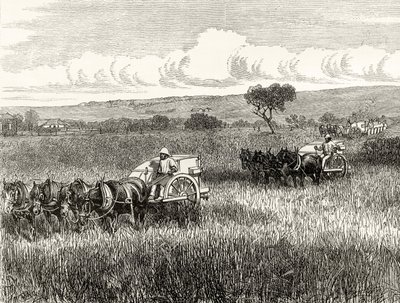 Colher em South Adelaide, c.1880, de &39;Australian Pictures&39;, de Howard Willoughby, publicado pela Religious Tract Society, Londres, 1886 de English School