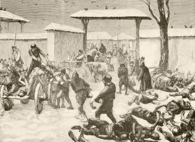 Recuperação dos mortos após o cerco de Plevna, Bulgária, em 1877 (litografia) de English School
