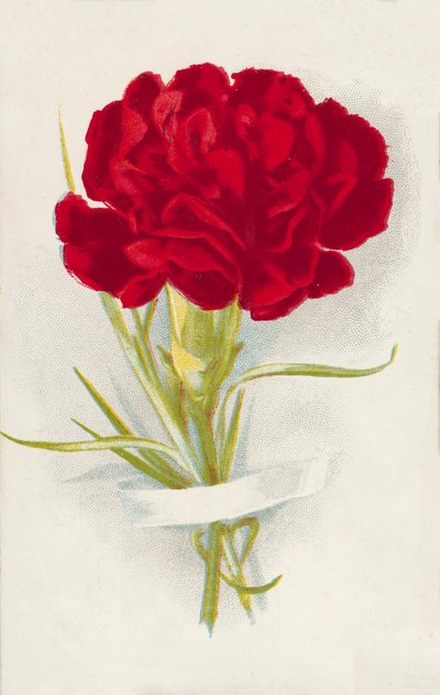 Cravo vermelho (cromolitho) de English School