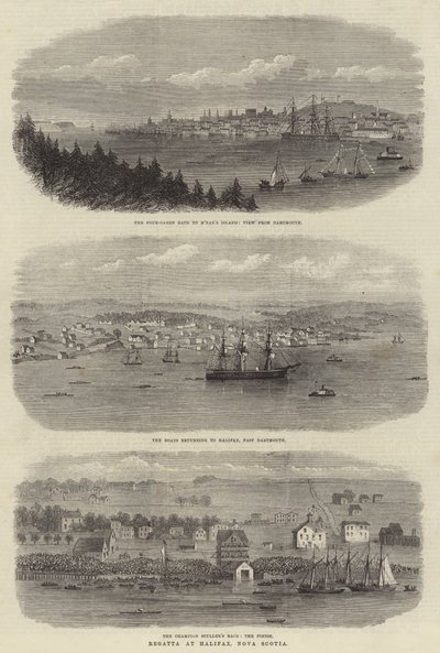 Regata em Halifax, Nova Escócia (gravura) de English School