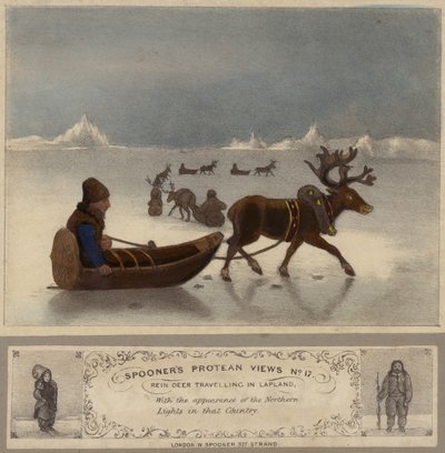 Rena, viajando, em, lapland de English School