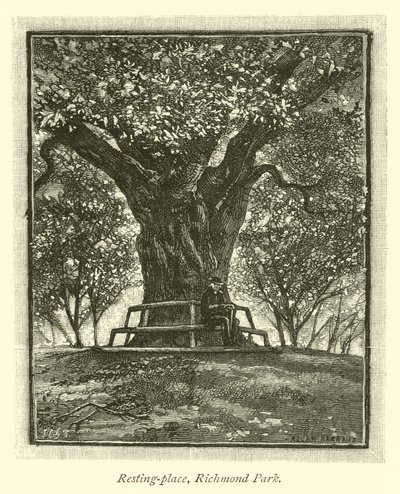 Lugar de descanso, Richmond Park de English School