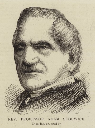 Reverendo Professor Adam Sedgwick (gravura) de English School
