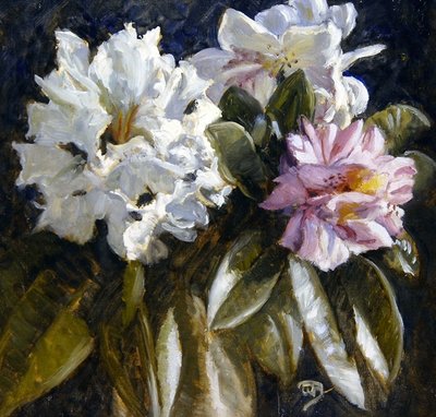 Rhododendron (óleo sobre papel) de English School