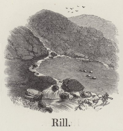 Rill (gravura) de English School