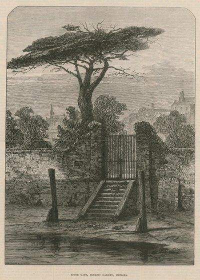 Portão do rio do jardim botânico de English School