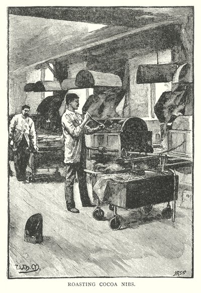 Torrefação de nibs de cacau (gravura) de English School