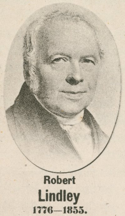 Robert Lindley (gravura) de English School