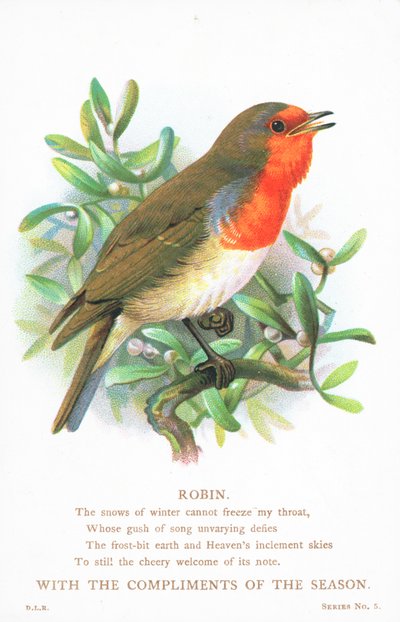 Robin que canta no ramo, cartão de Natal de English School