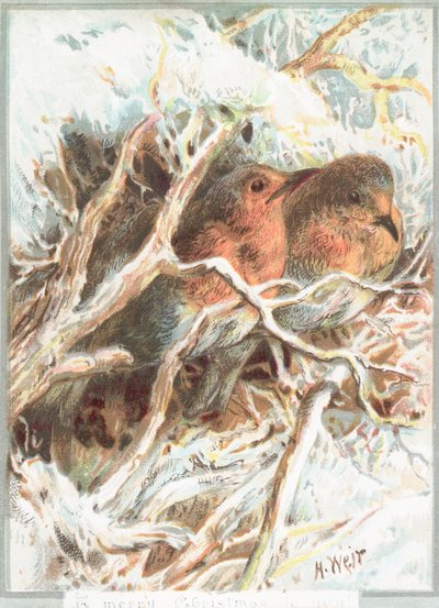 Robins sentado no ramo, cartão de Natal de English School