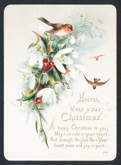 Robins com azevinho e snowdrops, cartão de Natal de English School