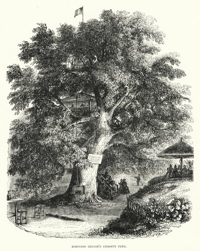 A castanheira de Robinson Crusoe (gravura) de English School