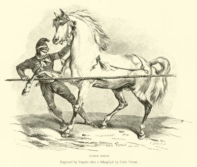 Cavalo romano de English School