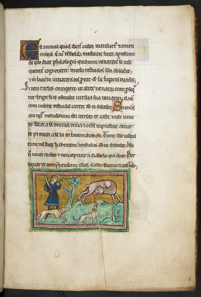 Real 12 F.XIII, f.14 Um lobo (?) com sangue a sair da boca, e um caçador com cães, do Bestiário de Rochester, 2.º quartel do século XIII de English School