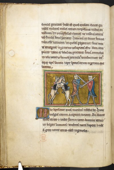 Real 12 F.XIII, f.42v Dois cavaleiros lutando a pé com espadas, enquanto seus cavalos lutam entre si nas patas traseiras. , de Bestiário (ff. 3-141), Lapidary (ff. 141v-149)  , 2º quartel do século 13 (velino) de English School