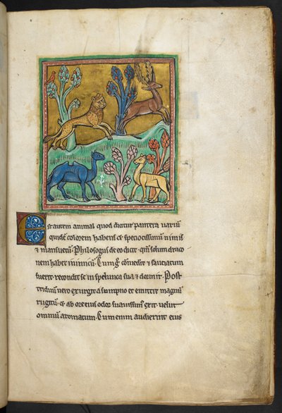 Royal 12 F.XIII, f.7 Um leopardo a perseguir um veado, com um camelo e outro animal. 

de Bestiary (ff. 3-141), Lapidary (ff. 141v-149) 2º quartel do século XIII de English School
