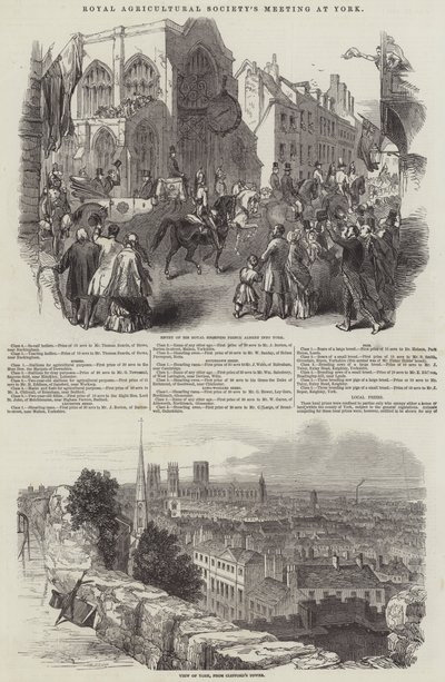 Reunião da Royal Agricultural Society, em York (gravura) de English School