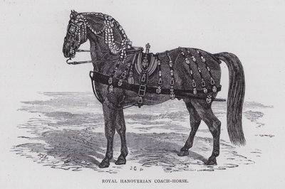Royal Hanoverian Coach-Horse (gravura) de English School