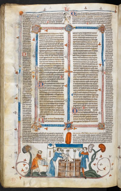 Royal MS 10 IV f.297v Bathing a Plague Victim and Marginal Decoration, ilustração de 